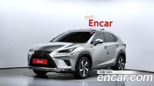 Lexus NX300h, 2019