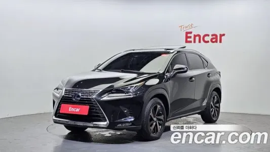 Lexus NX300h, 2019