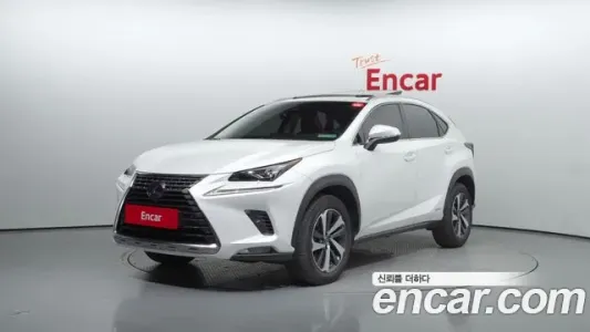 Lexus NX300h, 2019