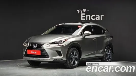 Lexus NX300h, 2019