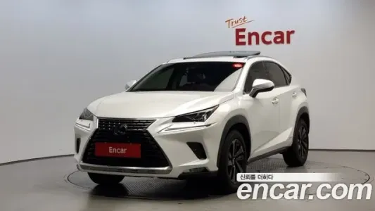 Lexus NX300h, 2019