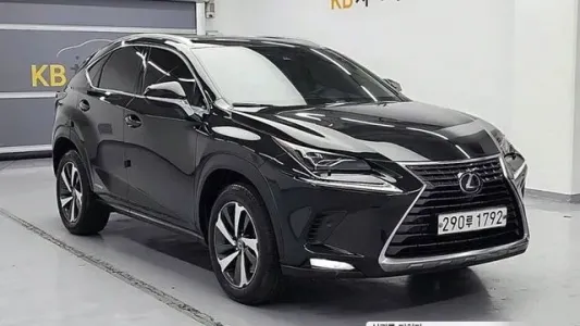 Lexus NX300h, 2019