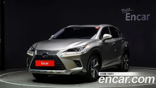 Lexus NX300h, 2019