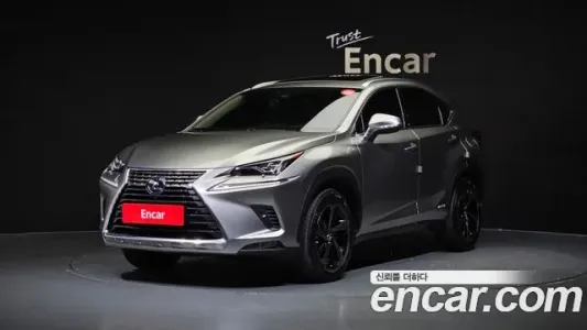 Lexus NX300h, 2020