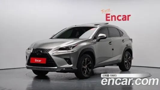 Lexus NX300h, 2020