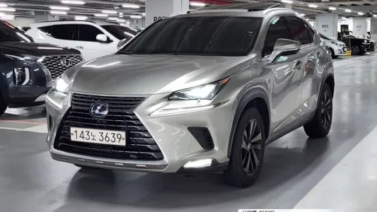 Lexus NX300h, 2021