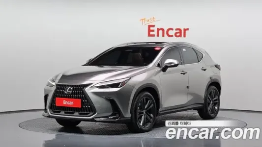 Lexus NX350h Second generation, 2023