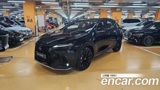 Lexus NX450h + 2nd generation, 2023