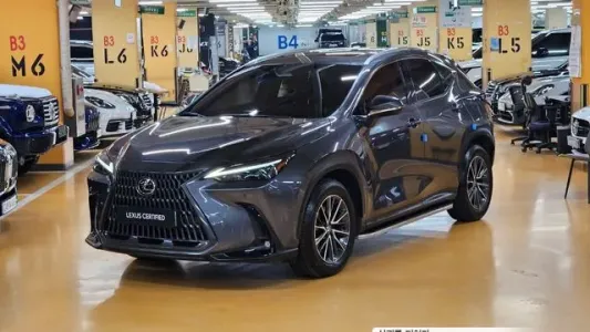 Lexus NX450h + 2nd generation, 2023