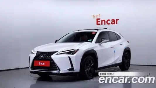 Lexus UX250h, 2019