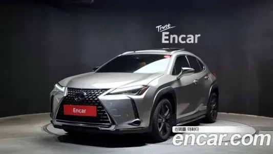 Lexus UX250h, 2019