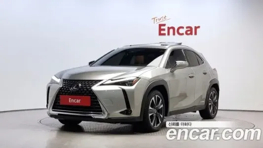 Lexus UX250h, 2019