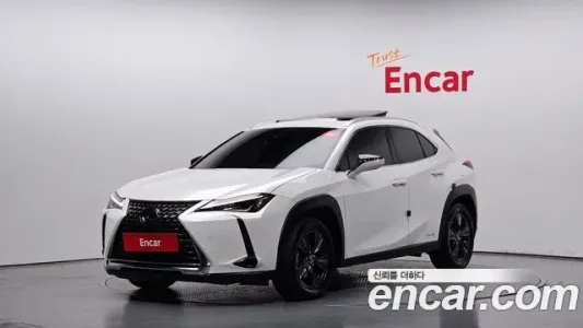 Lexus UX250h, 2019