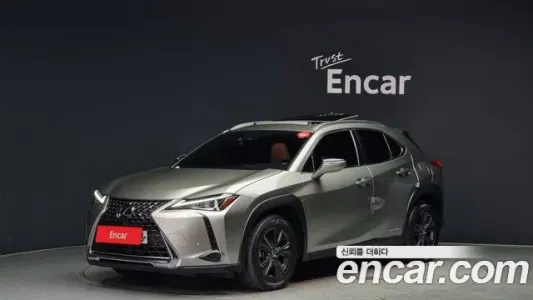 Lexus UX250h, 2019