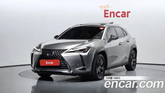 Lexus UX250h, 2019