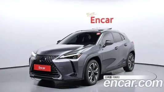 Lexus UX250h, 2019