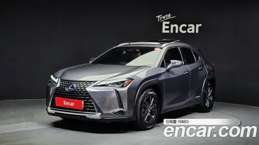 Lexus UX250h, 2019