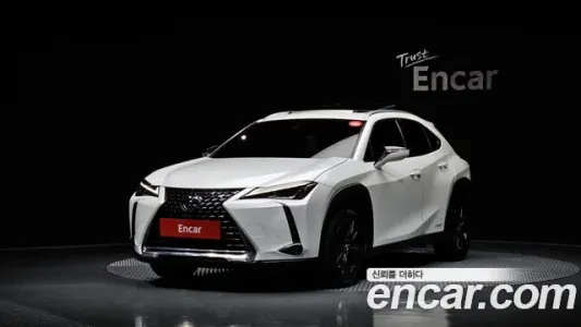 Lexus UX250h, 2020