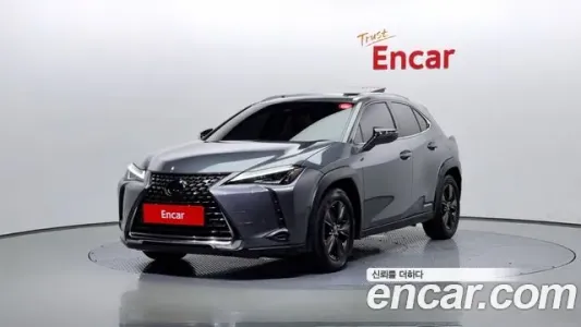 Lexus UX250h, 2020