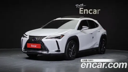 Lexus UX250h, 2020