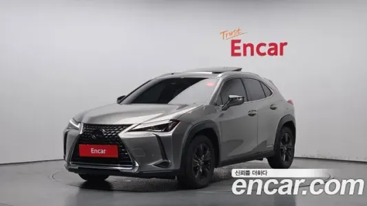 Lexus UX250h, 2020