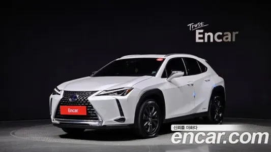 Lexus UX250h, 2020