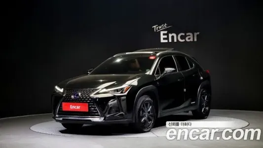 Lexus UX250h, 2021