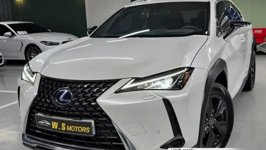 Lexus UX250h, 2021