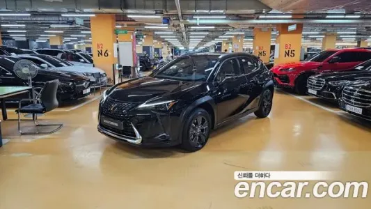 Lexus UX250h, 2023