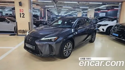 Lexus UX250h, 2023