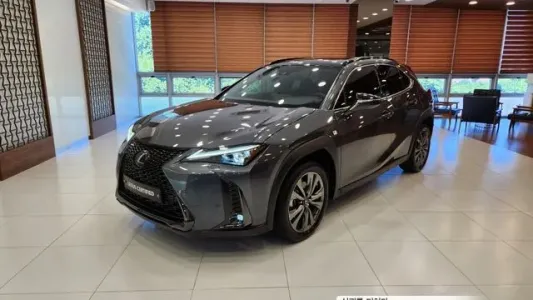 Lexus UX250h, 2024