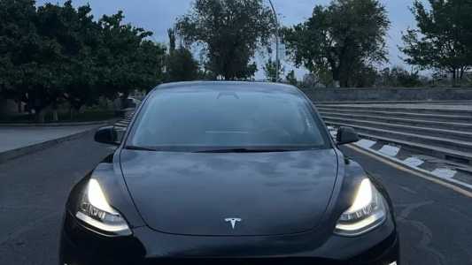 Tesla Model 3, Электро, 2020