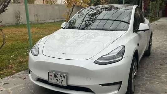 Tesla Model Y, Электро, 2021