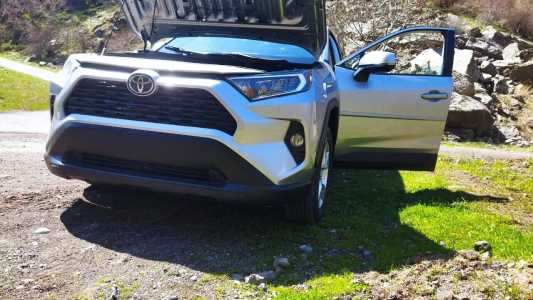 Toyota RAV4, Бензин, 2019