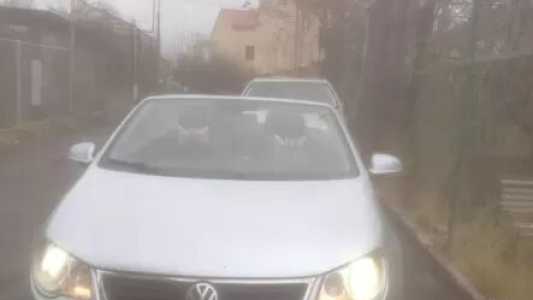 Volkswagen Eos, Бензин, 2008