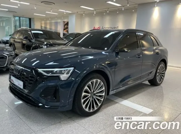 Audi Q8 e-Tron (GE), 2024