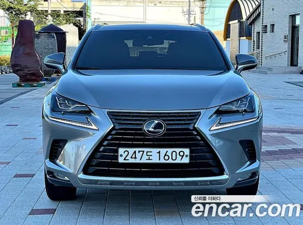 Lexus NX300, 2019