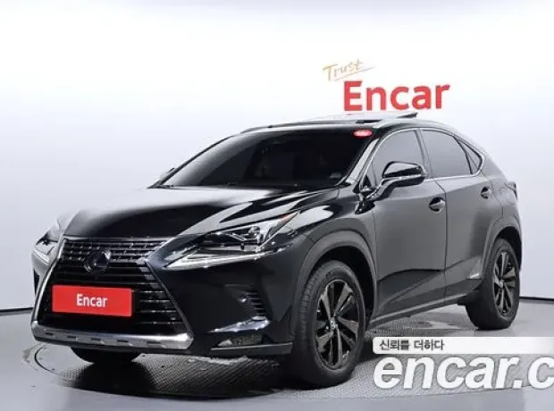 Lexus NX300h, 2018