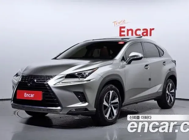 Lexus NX300h, 2018