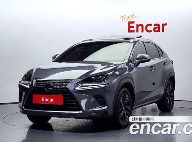 Lexus NX300h, 2018