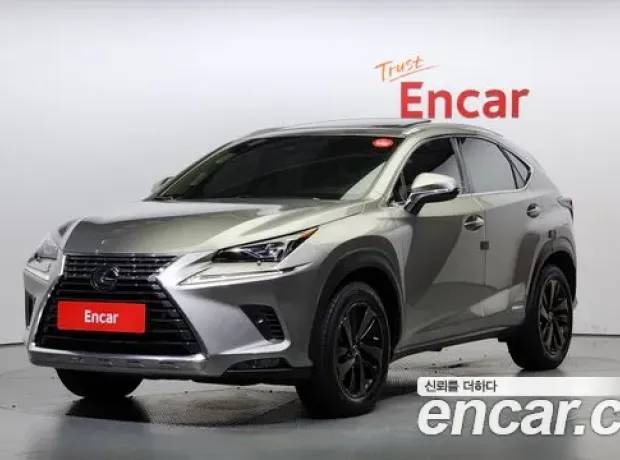 Lexus NX300h, 2019