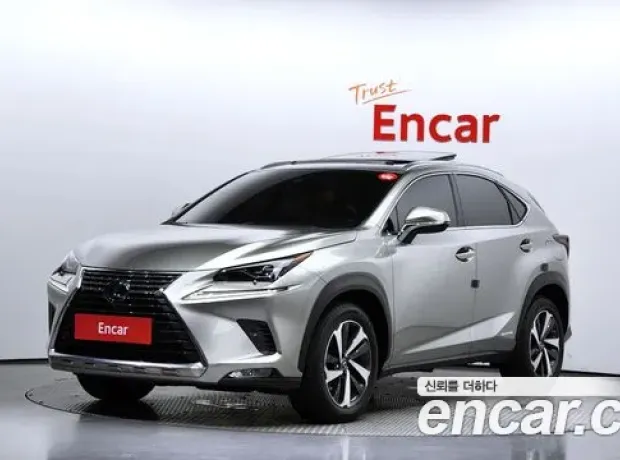 Lexus NX300h, 2019