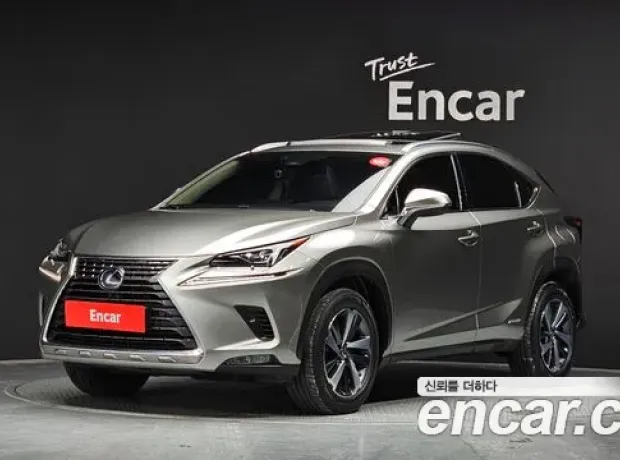 Lexus NX300h, 2019