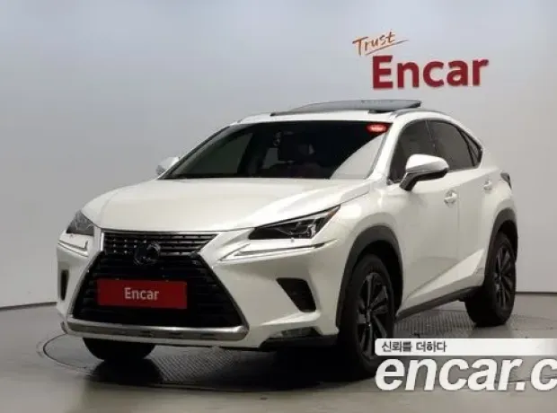 Lexus NX300h, 2019