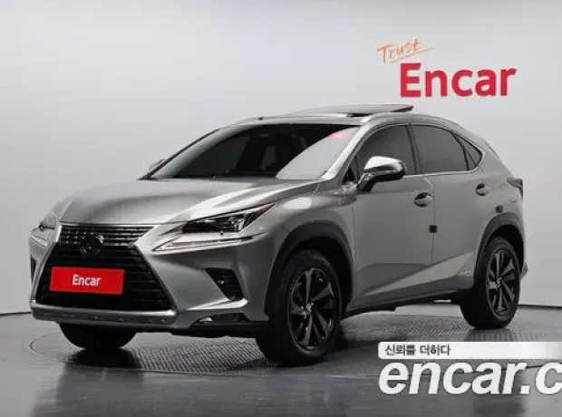 Lexus NX300h, 2020