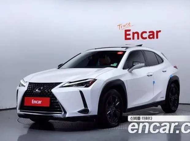 Lexus UX250h, 2019