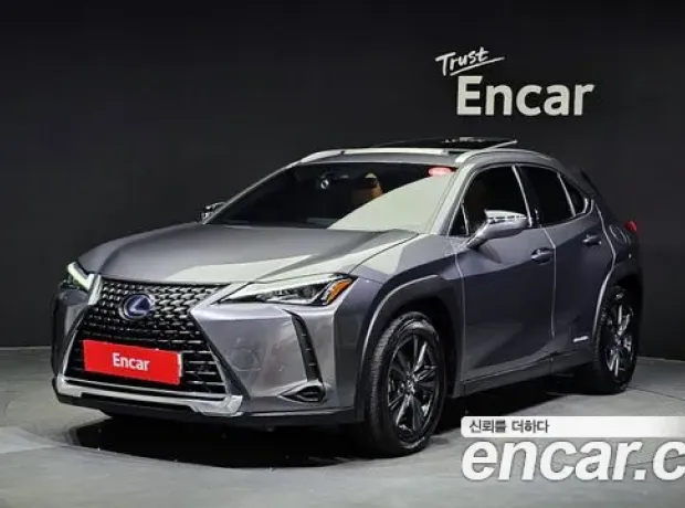 Lexus UX250h, 2019