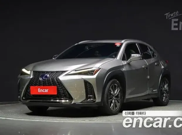 Lexus UX250h, 2020