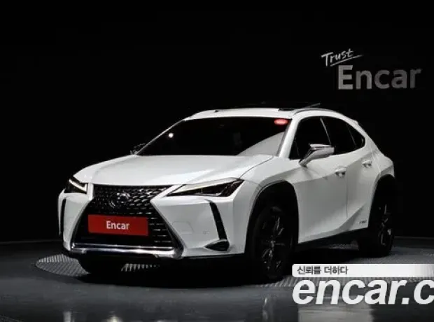 Lexus UX250h, 2020