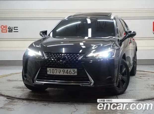 Lexus UX250h, 2020